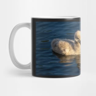 Cygnet (Baby Swan), Sunshine Coast Mug